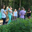 Brennnesselworkshop 6_18 Foto 1.jpg