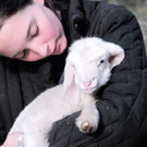 Bio-Bauernhof: Sommerferien am Landgut Wien Cobenzl