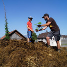 Kindergarten Übersaxen Kürbisse pflanzen