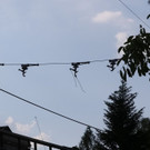 20180605fmt_lkwoberleitung_ta_011.JPG