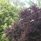 20180605fmt_lkwoberleitung_ta_012.JPG