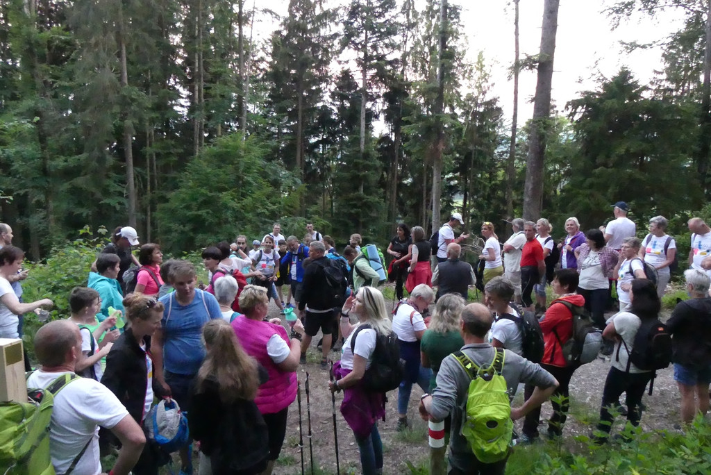 Pfarre ZEMM GO Wanderung Di__zesanfest 27-05-2018 _4_.JPG