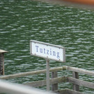 P1000667.jpg