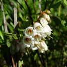 DSC02977.JPG