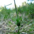 DSC03077.JPG