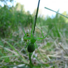 DSC03079.jpg