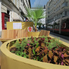 Wanderbarer Schanigarten in Neubau