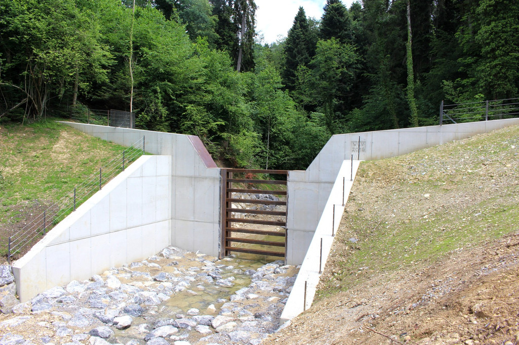 A Hoferbach STAUWEHR 3 fertig 04-06-2018 _17_.JPG
