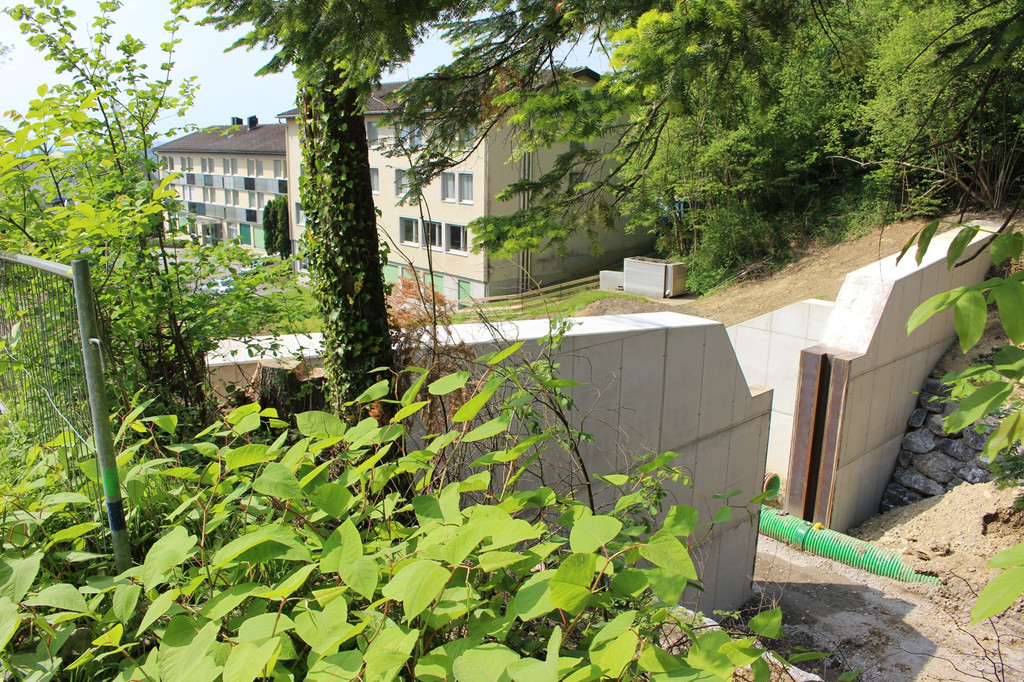 B Hoferbach STAUWEHR 2 Mitte 03-05-2018 _15_.JPG