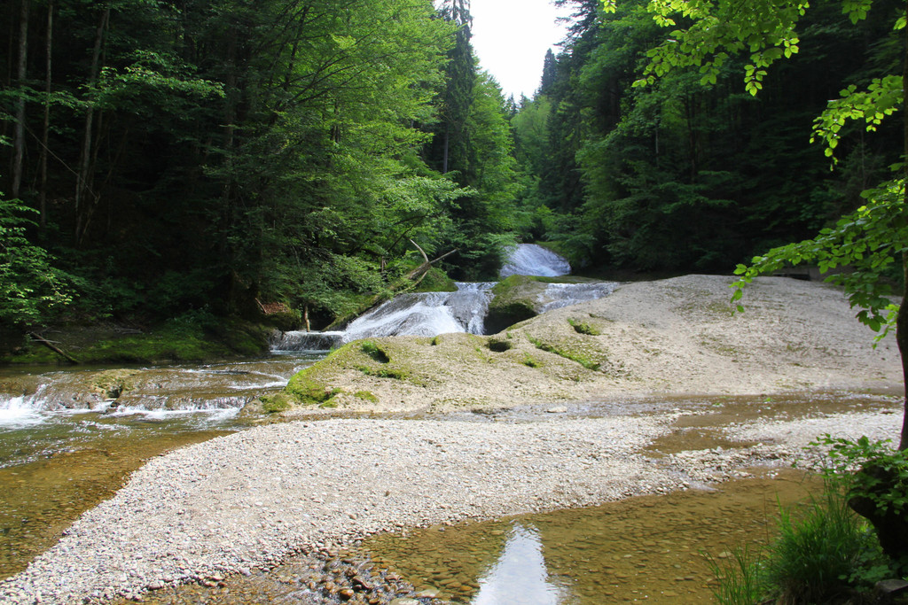 IMG_2146.JPG