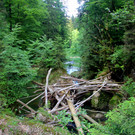 IMG_2173.JPG