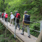 IMG_2176.JPG