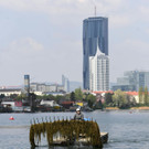 Alte Donau: Mit der Mähboot-Armada gegen die Wasserpflanzen