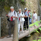 IMG_2162.JPG