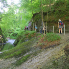 IMG_2203.JPG