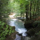 IMG_2212.JPG