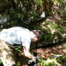Ringelnatter in Bad Ischl entdeckt