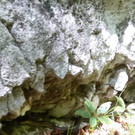 E-180606 _282_29 _1_.jpg