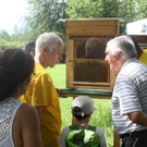 Tag des offenen Bienenstock in Rankweil
