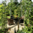 Bregenz Unger G DSC01797.JPG