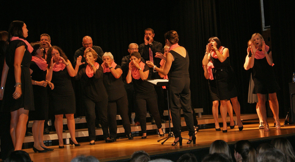 DSC02784a.jpg