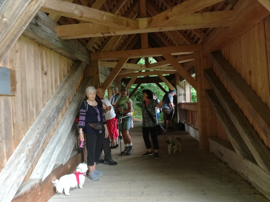 IMG_20180607_141120.jpg