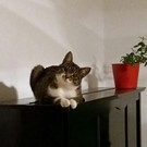 WhatsApp Image 2018-06-10 at 14_37_19_2_.jpeg