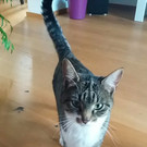 WhatsApp Image 2018-06-10 at 14_37_19.jpeg