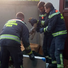 11062018__c__MA68_Lichtbildstelle _Fuchs 2_.jpg