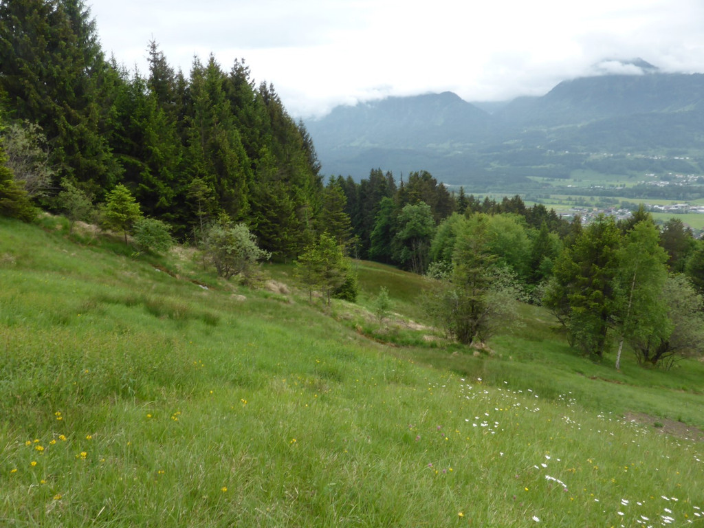 P1170217_Strukturreichtum Vika.JPG