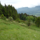 P1170217_Strukturreichtum Vika.JPG