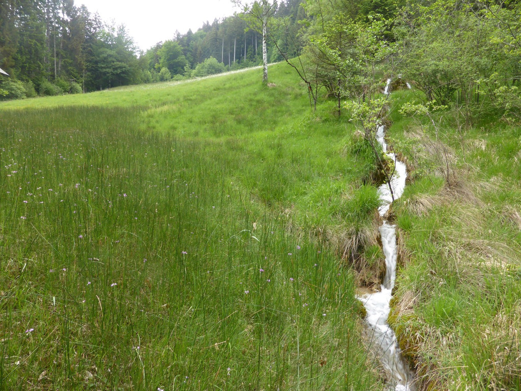 P1170140_Kalktuffb__chle Vika.JPG