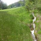 P1170140_Kalktuffb__chle Vika.JPG