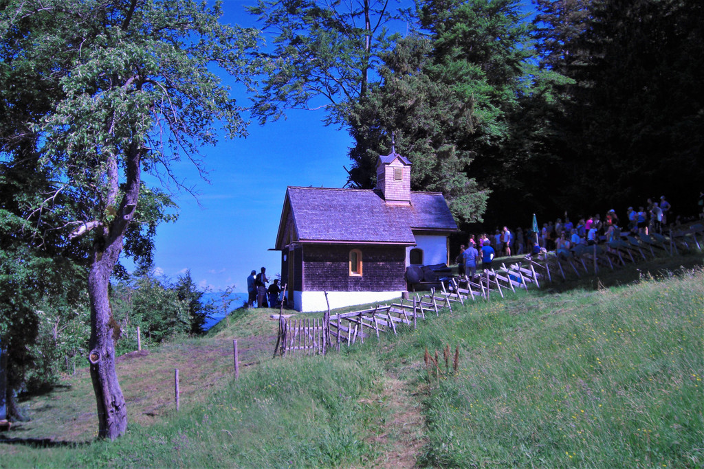 CIMG0993.JPG