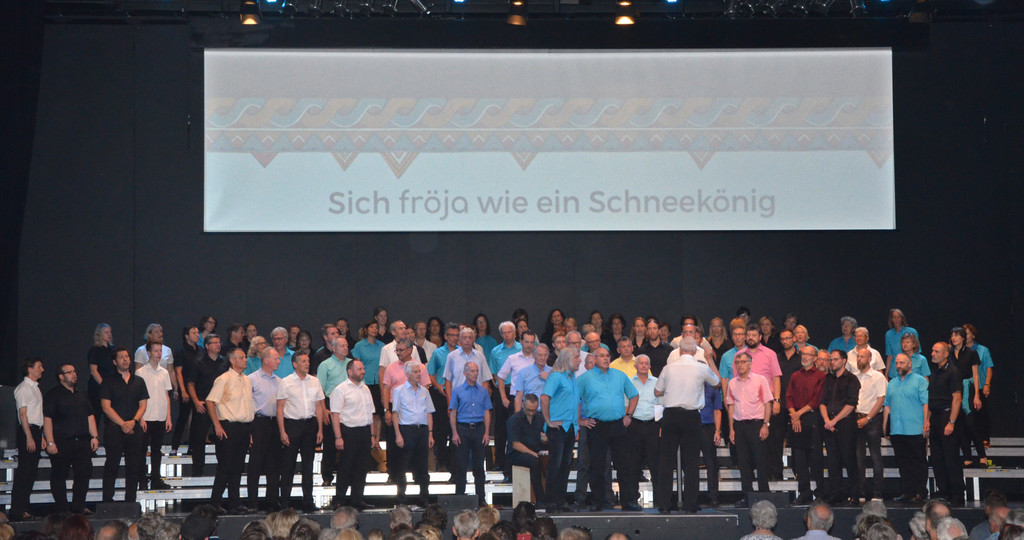 2018-06-10 Konzert Fr__jd sgh und mann o mann.jpg
