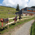 Bereit zum Ponyreiten.JPG