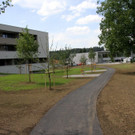 62-IMG_1506.JPG