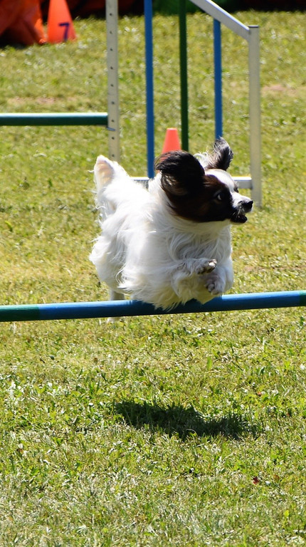 DSC_0146.JPG