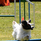 DSC_0146.JPG
