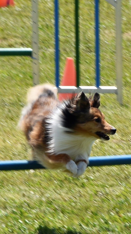 DSC_0149.JPG