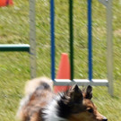 DSC_0149.JPG