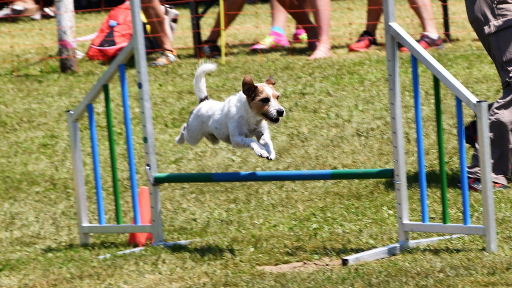 DSC_0162.JPG