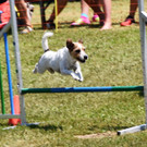 DSC_0162.JPG