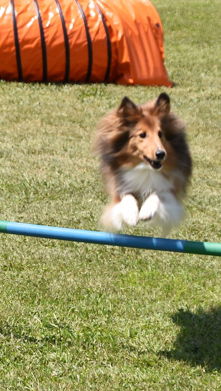 DSC_0182.JPG