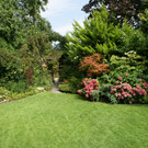 Hard Wolff G DSC01849.JPG