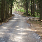 DSC02922.JPG