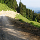 DSC02933.JPG