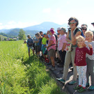 Exkursion ins Frastanzer Ried
