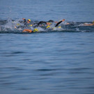 file70mgle3087l1cg7dricc.jpg