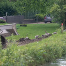 20180618fmt_almkanal_ta_011.JPG